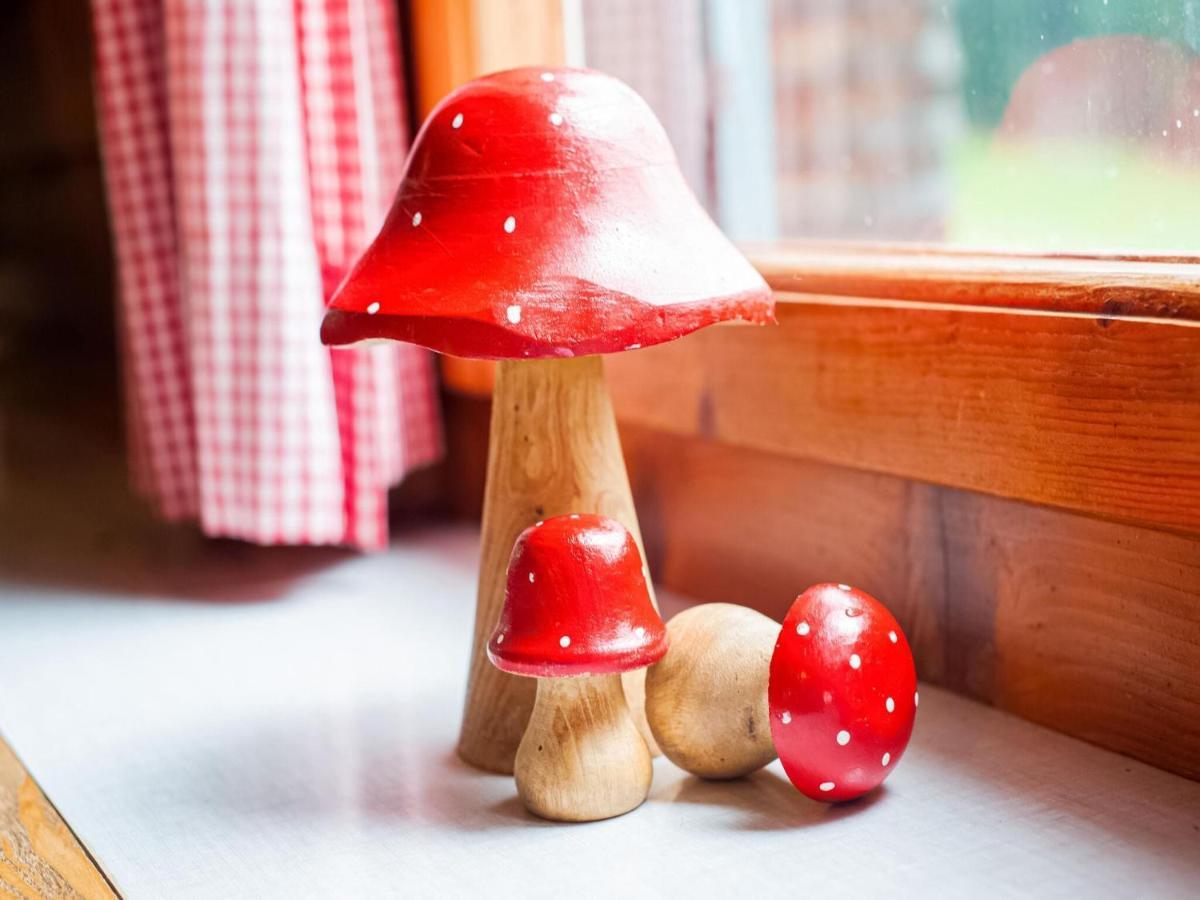 Vintage Holiday Home in Vorarlberg near Ski Area Schwarzenberg im Bregenzerwald Eksteriør billede
